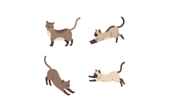 Four domestic cats in various poses with flat design style p Product Image 1