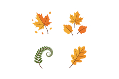 Autumn leaves and fern frond in flat minimal style with warm Product Image 1