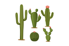 Various green desert cacti with pink flowers in flat minimal Product Image 1