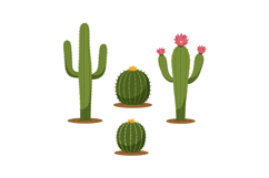 Green desert cacti with blooming flowers in flat minimal sty Product Image 1