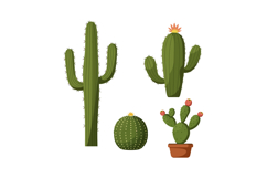 Four different green cacti with spines and flowers in flat d Product Image 1