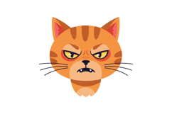 Angry orange tabby cat face with sharp teeth and intense eye Product Image 1
