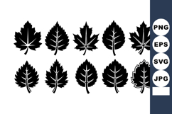 black silhouette maple and linden leaves vector illus Product Image 1