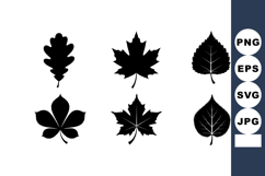 Six black silhouette autumn leaves collection with oak, mapl Product Image 1