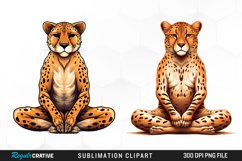 Yoga Animals PNG Set Clipart Product Image 1