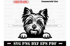 Peeking Yorkshire Terrier Dog Design SVG PNG DXF EPS PDF Product Image 1