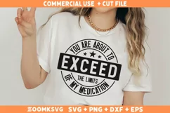 Funny Sarcastic SVG, Funny Humor Shirt SVG, Sassy SVG Product Image 2
