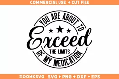 Funny Sarcastic SVG, Funny Humor Shirt SVG, Sassy SVG Product Image 1