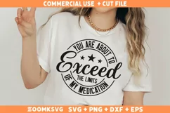 Funny Sarcastic SVG, Funny Humor Shirt SVG, Sassy SVG Product Image 2