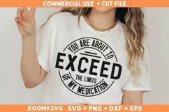 Funny Sarcastic SVG, Funny Humor Shirt SVG, Sassy SVG Product Image 2