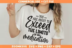 Funny Sarcastic SVG, Funny Humor Shirt SVG, Sassy SVG Product Image 2