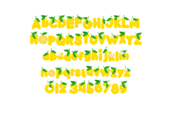 You Are the Zest Color Font Product Image 2