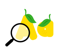 You Are the Zest Color Font Product Image 6