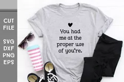 You had me at the proper use of You're, Hand Lettered Love Product Image 3