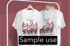 The HarmonyGnomes Barbershop Quartet Product Image 3