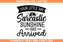 Sarcastic SVG, Funny SVG, Sassy SVG, Sarcasm SVG Product Image 2