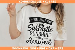 Sarcastic SVG, Funny SVG, Sassy SVG, Sarcasm SVG Product Image 1