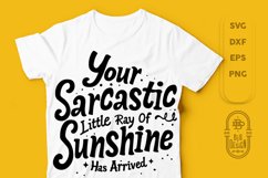 Funny Saiyng SVG File | Sarcastic, Funny Quote SVG File Product Image 1