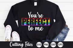 Pride SVG | Gay Pride SVG | You're Perfect To Me Product Image 1