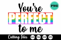 Pride SVG | Gay Pride SVG | You're Perfect To Me Product Image 2