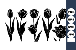 Tulip flower vector silhouettes in black and white with eleg Product Image 1