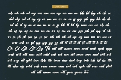 Yulinta Satin Bold Calligraphy Font Product Image 18