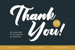 Yulinta Satin Bold Calligraphy Font Product Image 20