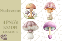 Mushroom Clipart, Realistic Forest Mushrooms PNG Product Image 1