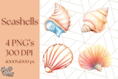 Natural Seashell Clipart PNG, Summer Nautical Beach Shell Product Image 1