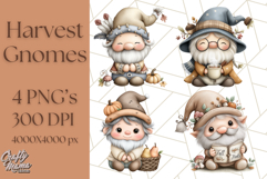 Fall Gnome Clipart PNG Cute Thanksgiving Gnomes Product Image 1