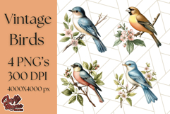 Vintage Song Bird Clipart PNG, Botanical Bird Art Clip Art Product Image 1