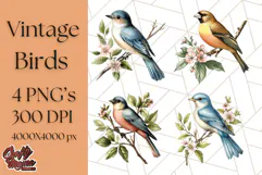 Vintage Song Bird Clipart PNG, Botanical Bird Art Clip Art Product Image 1