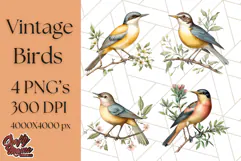 Vintage Song Bird Clipart PNG, Botanical Bird Art Clip Art Product Image 1