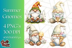 Summer Garden Gnomes Clipart PNG, Summer Country Gnomes Png Product Image 1
