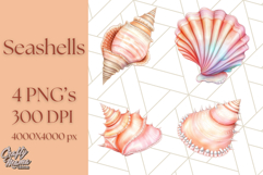 Natural Seashell Clipart PNG, Summer Nautical Beach Shell Product Image 1