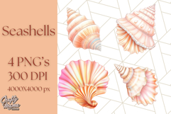 Natural Seashell Clipart PNG, Summer Nautical Beach Shell Product Image 1