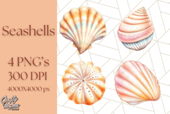 Natural Seashell Clipart PNG, Summer Nautical Beach Shell Product Image 1
