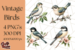 Vintage Song Bird Clipart PNG, Botanical Bird Art Clip Art Product Image 1