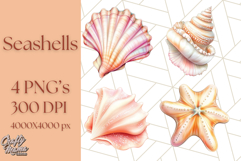 Natural Seashell Clipart PNG, Summer Nautical Beach Shell Product Image 1