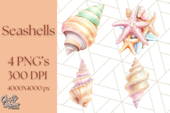 Natural Seashell Clipart PNG, Summer Nautical Beach Shell Product Image 1