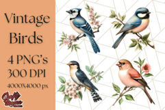 Vintage Song Bird Clipart PNG, Botanical Bird Art Clip Art Product Image 1