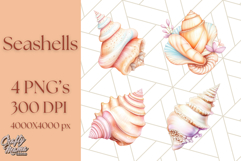 Natural Seashell Clipart PNG, Summer Nautical Beach Shell Product Image 1