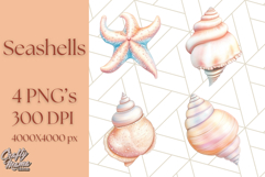 Natural Seashell Clipart PNG, Summer Nautical Beach Shell Product Image 1
