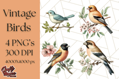 Vintage Song Bird Clipart PNG, Botanical Bird Art Clip Art Product Image 1