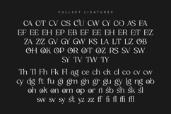 Zacorsea Beauty Elegant Ligature Serif Product Image 3
