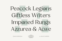 Zacorsea Beauty Elegant Ligature Serif Product Image 6
