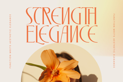 Zamilah - Modern Serif Font Product Image 5