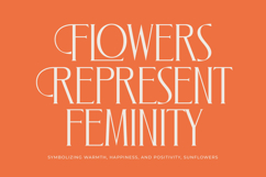 Zamilah - Modern Serif Font Product Image 7