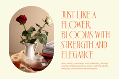 Zamilah - Modern Serif Font Product Image 12