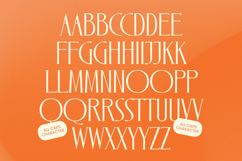 Zamilah - Modern Serif Font Product Image 13
